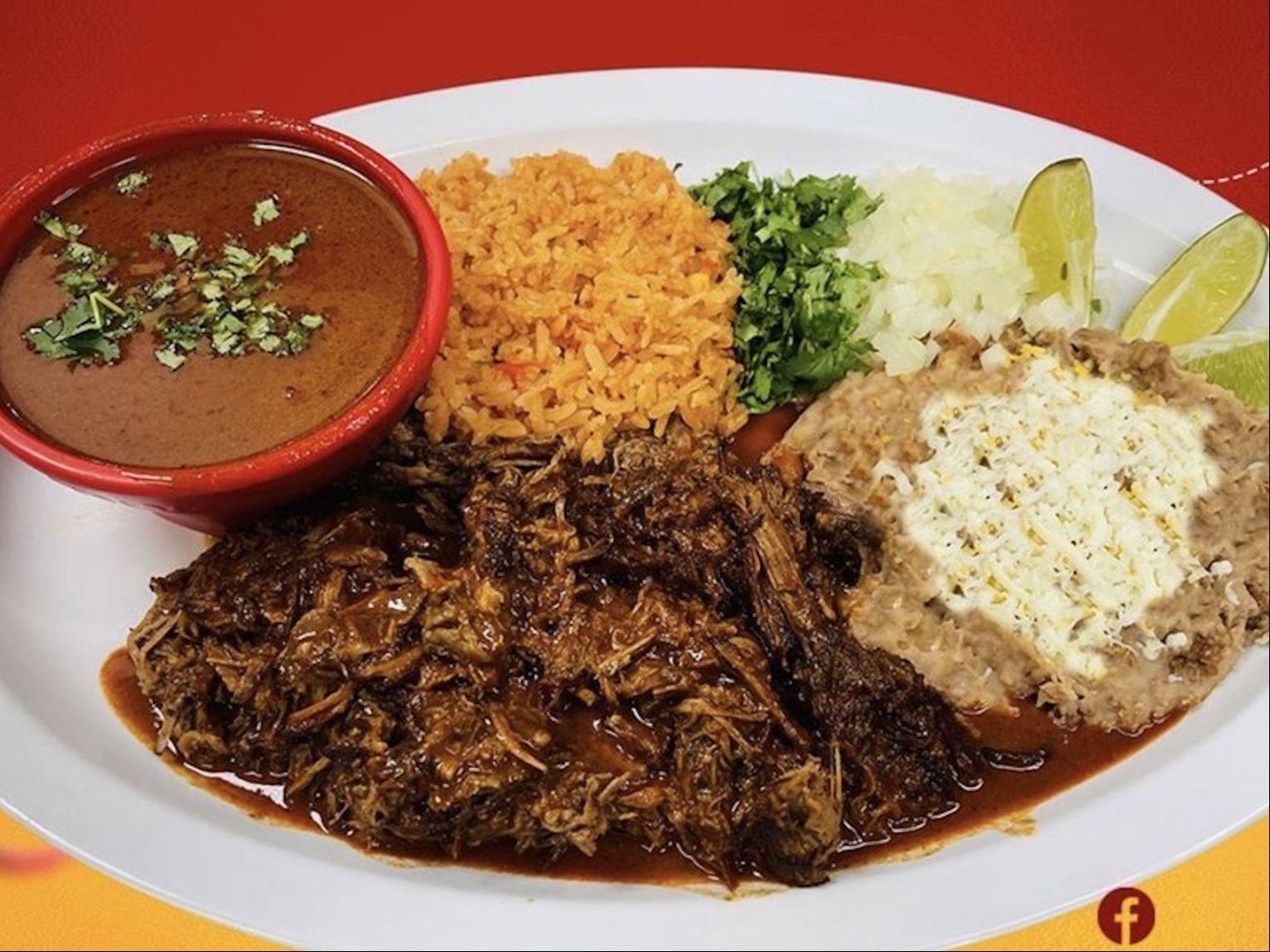 Birria Plate.