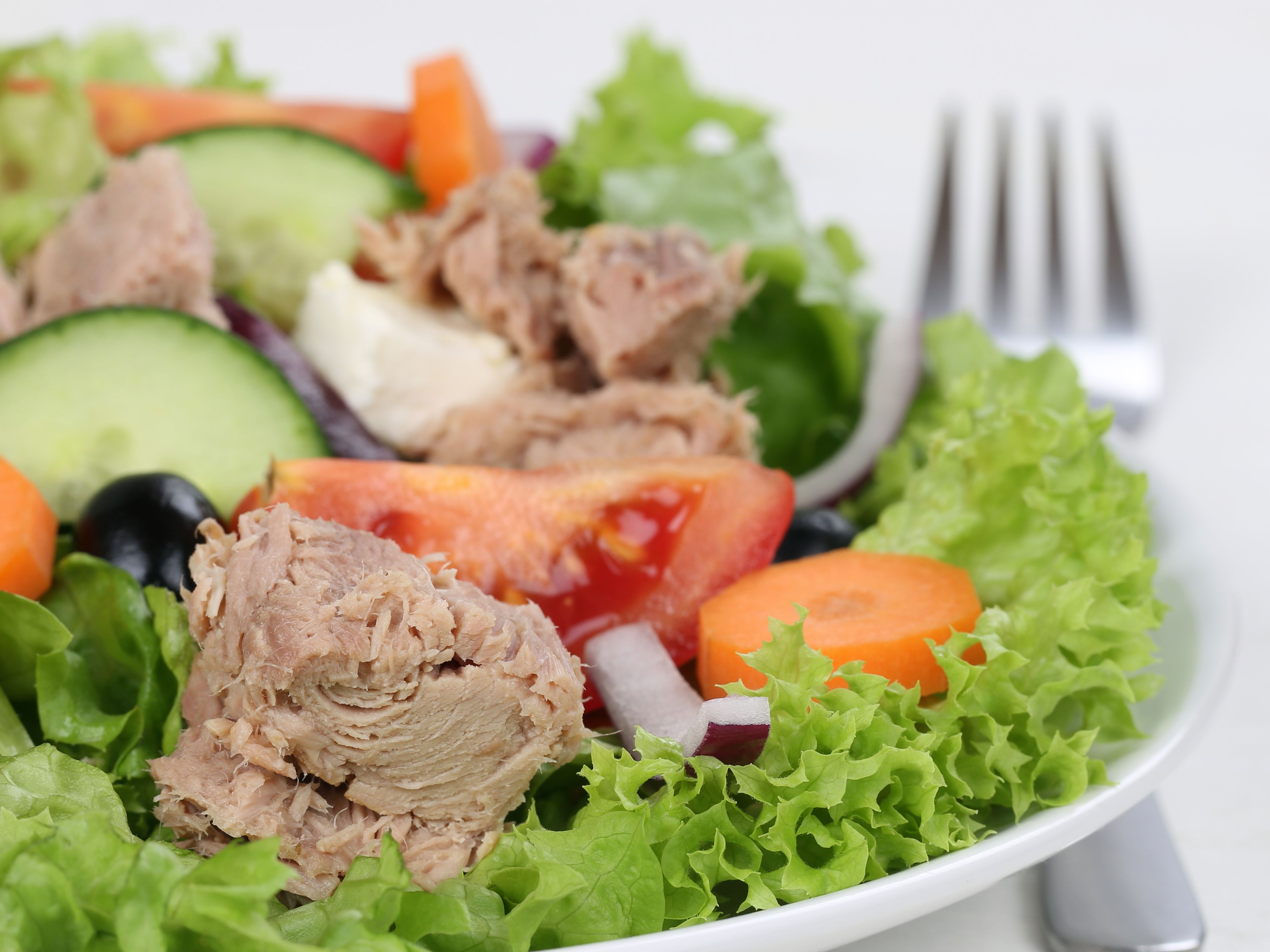 Green Salad W\Protein.