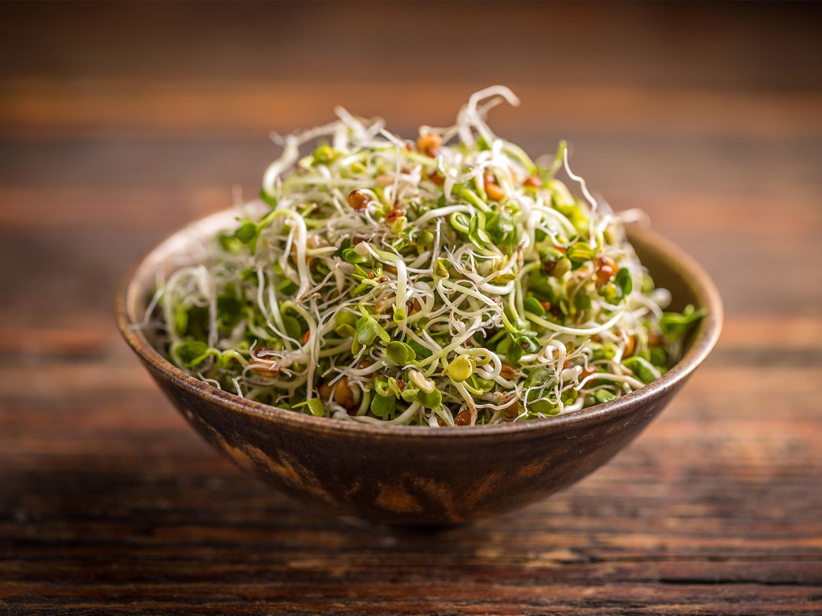 Sprouted Moong.