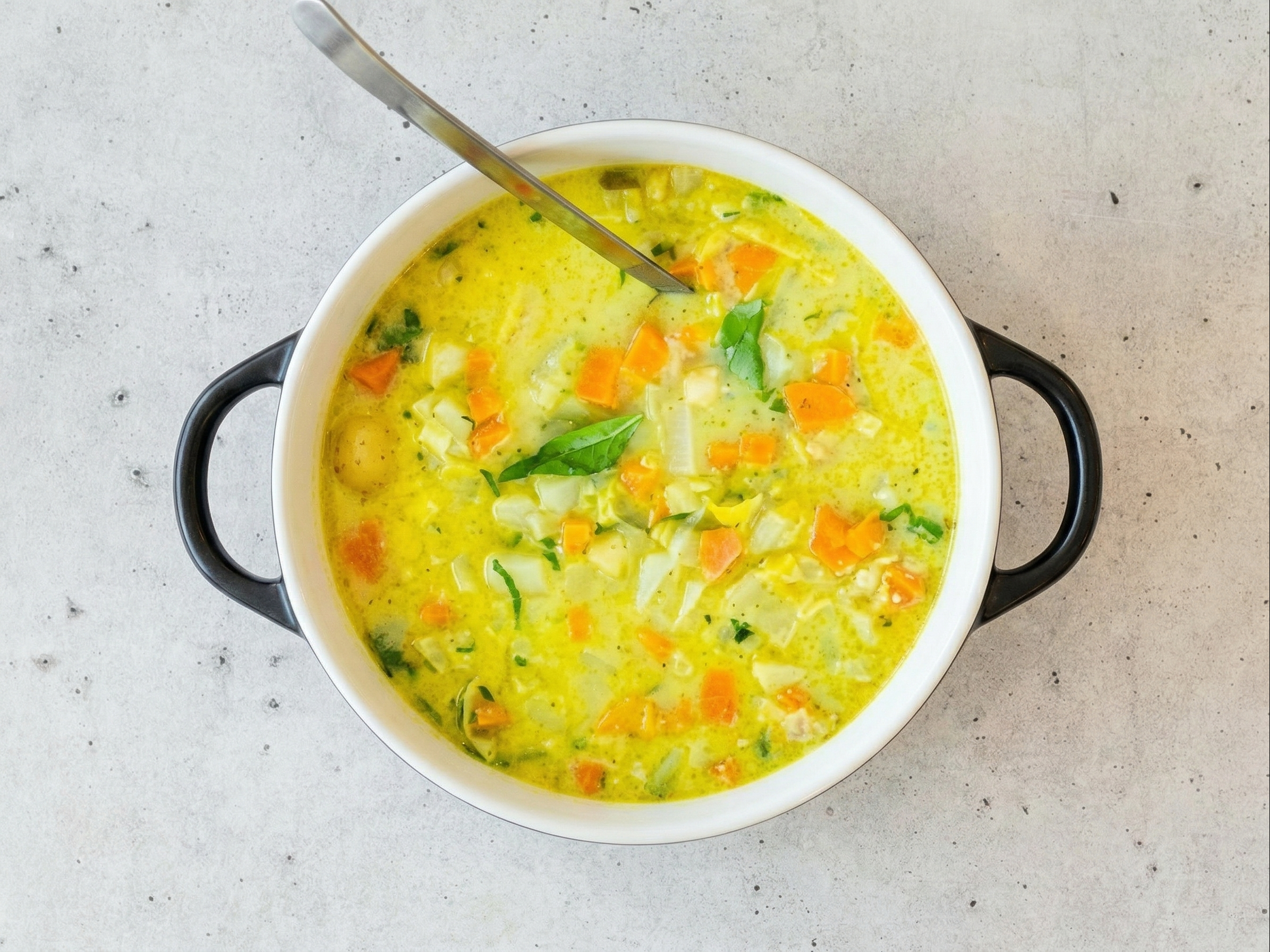 Mulligatawny Soup.