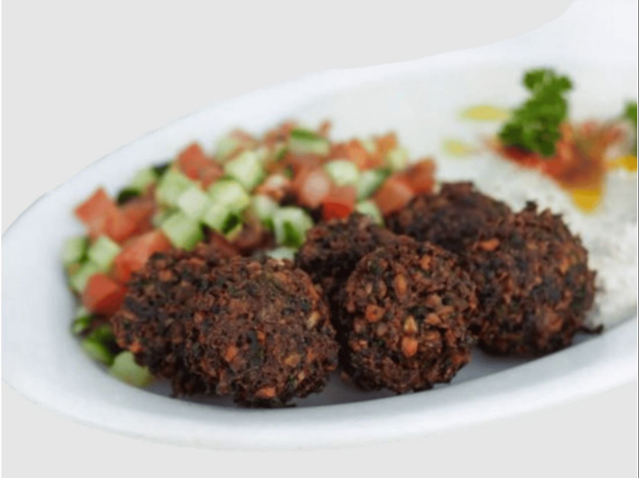 Falafel Plate