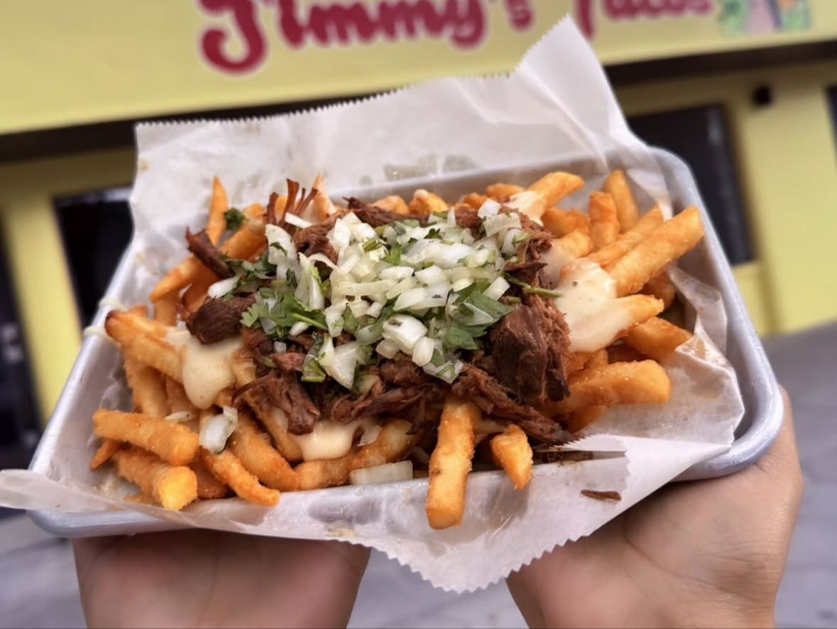 Birria Fries.