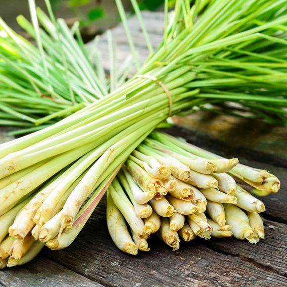 Lemon Grass Bundle