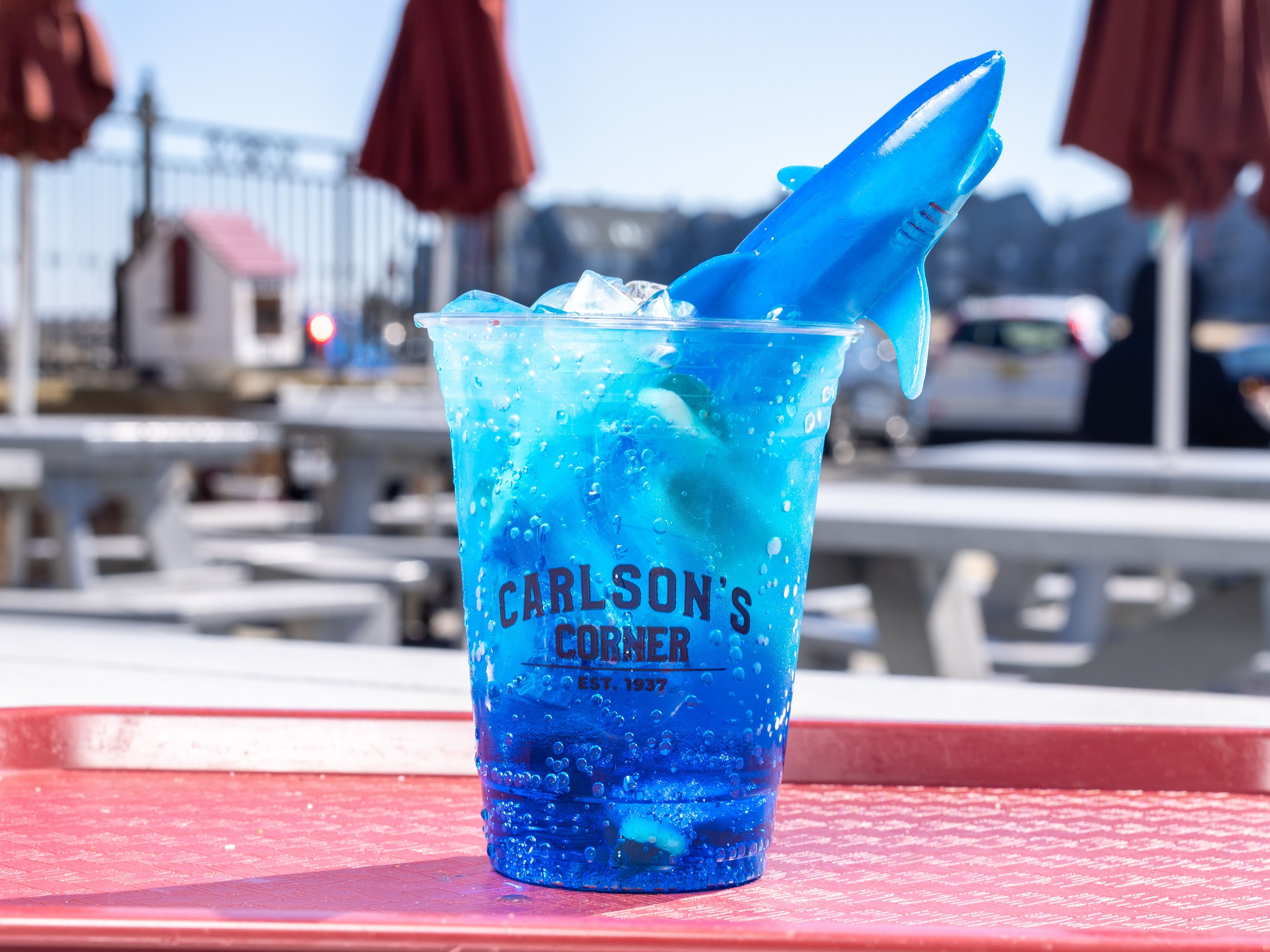 Shark Drink
