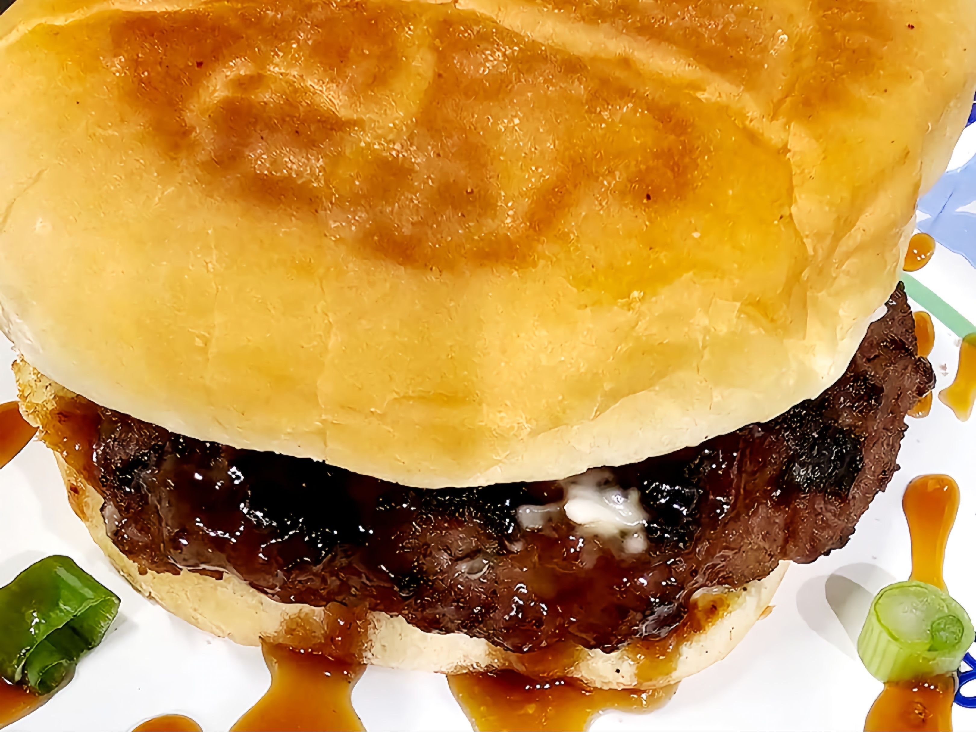 Shaka TERI Beef sandwich ONLY.
