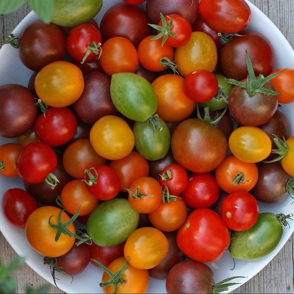 Cherry Tomatoes pint