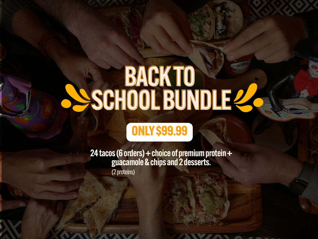Back to School Bundle.