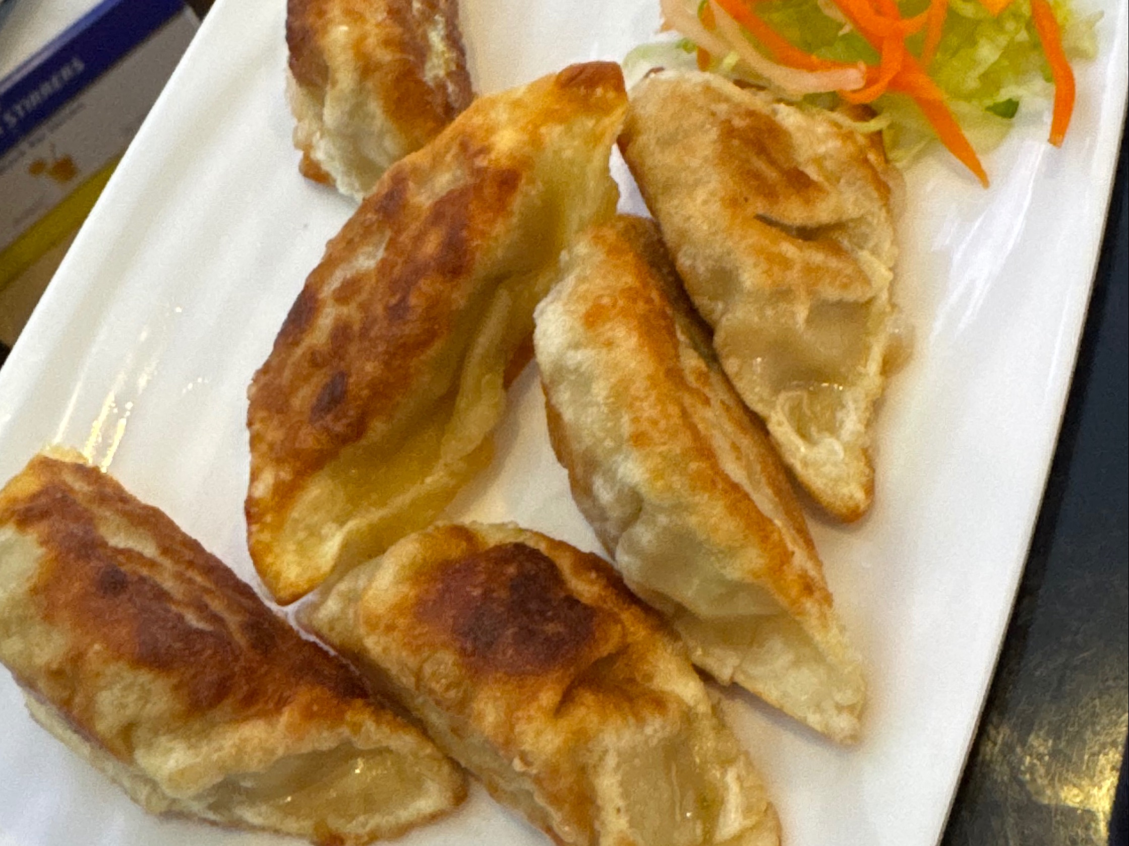 E6. Pork Dumplings (7).