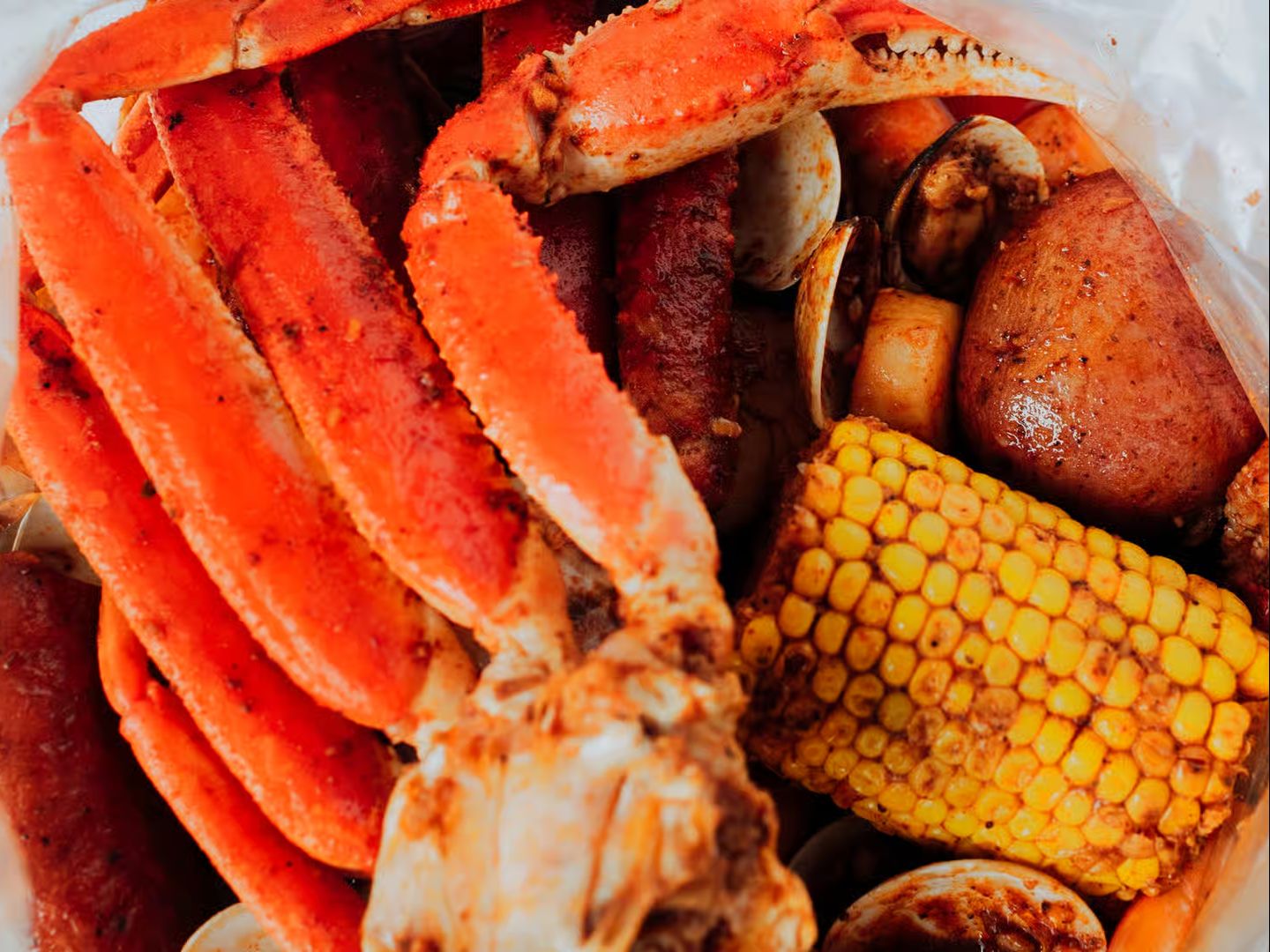 #3 Gill - Fam Pack + Clam.