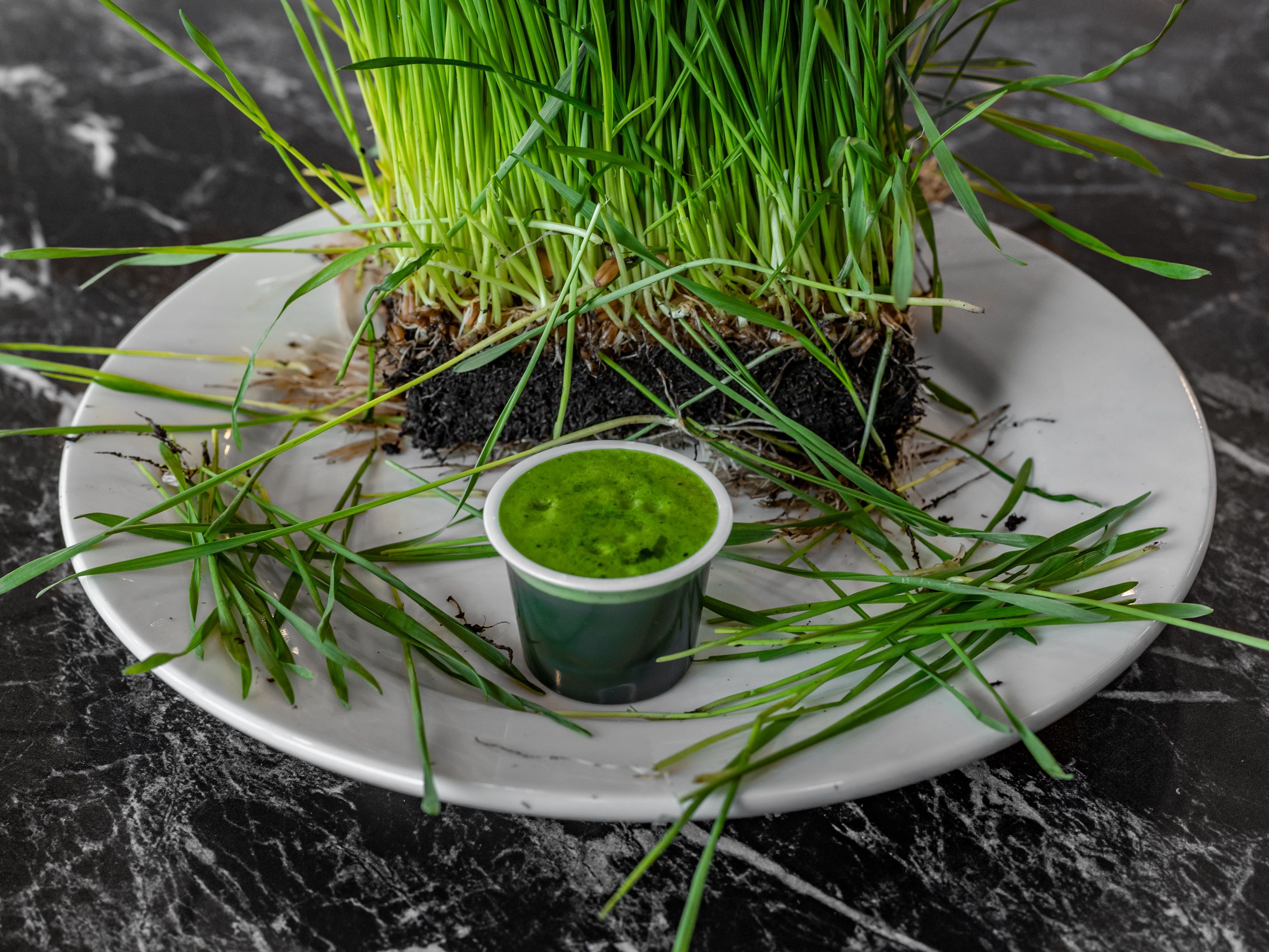 Wheatgrass Shot.