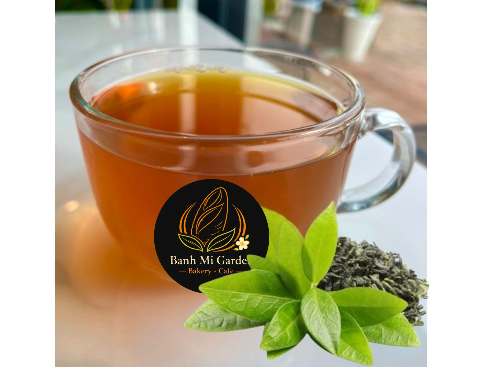 Hot Jasmine Green Tea 16oz *Contains Caffeine*.