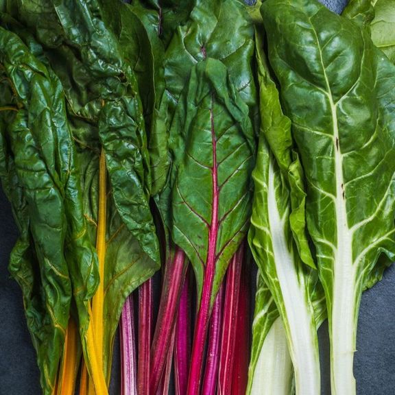 Swiss Chard