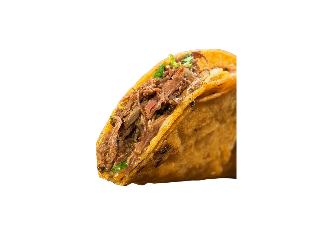 Birria Taco