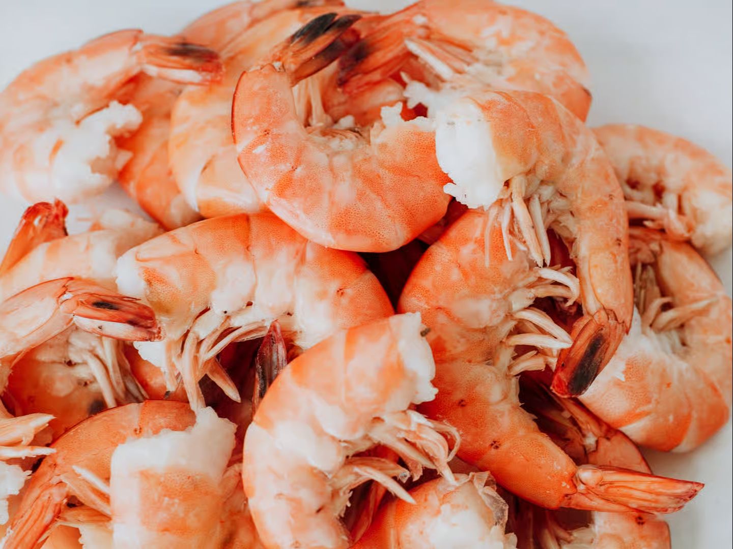 Shrimp (Headless).