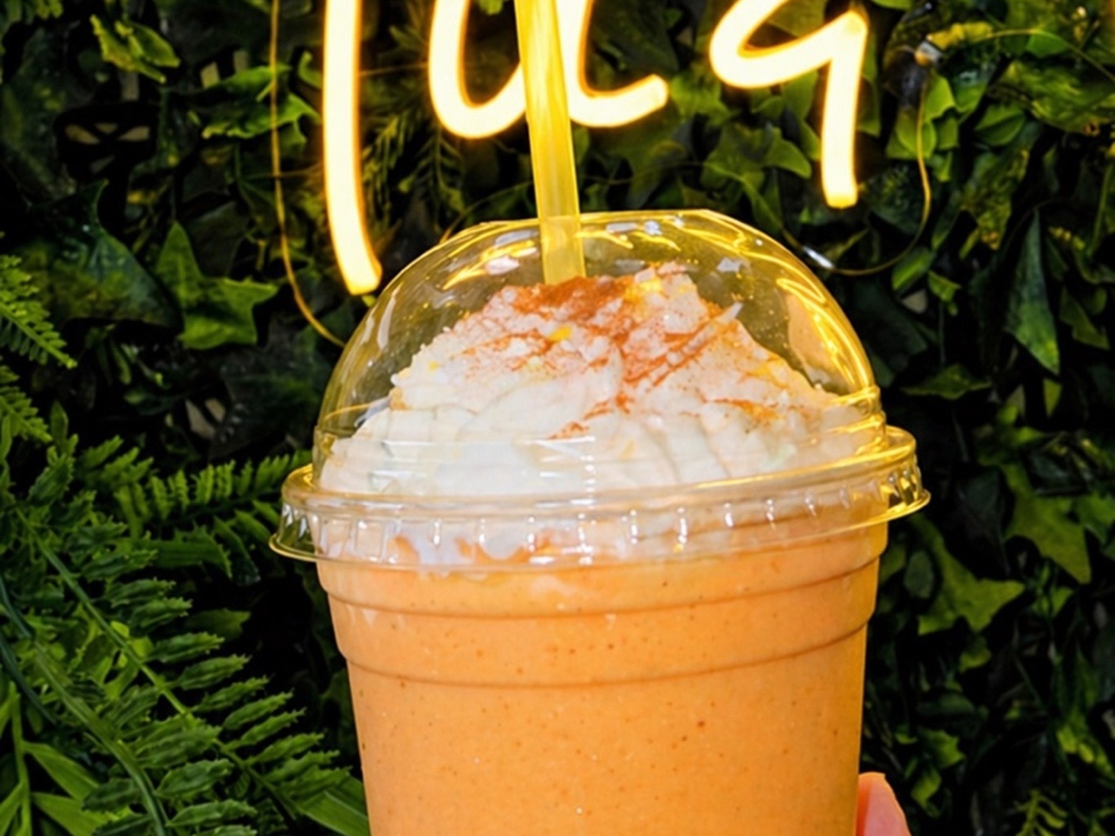 Mamey Smoothies (15 OZ).