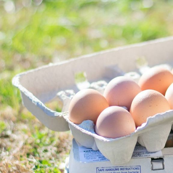 HALF DOZEN EGGS