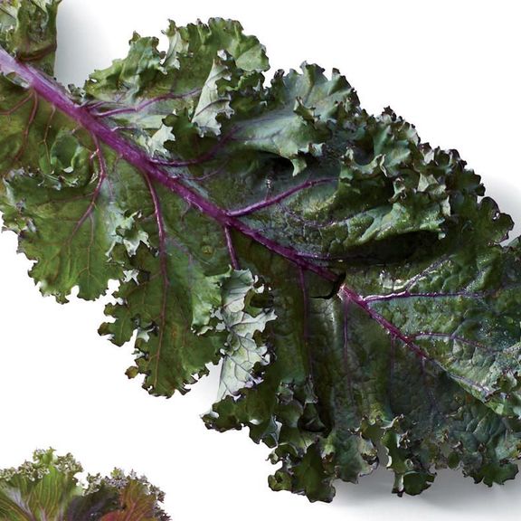 Kale Red Curly