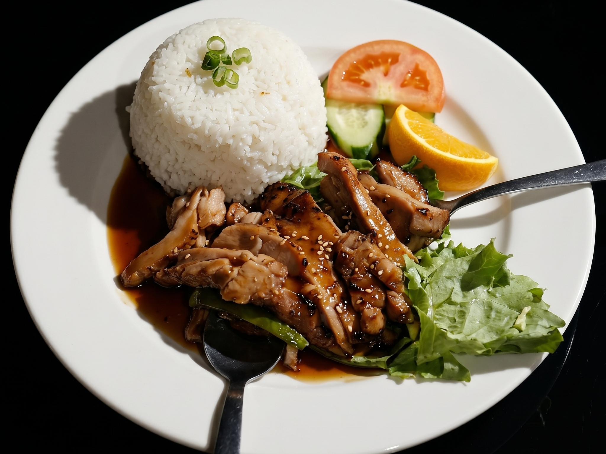 E10.Teriyaki Chicken.