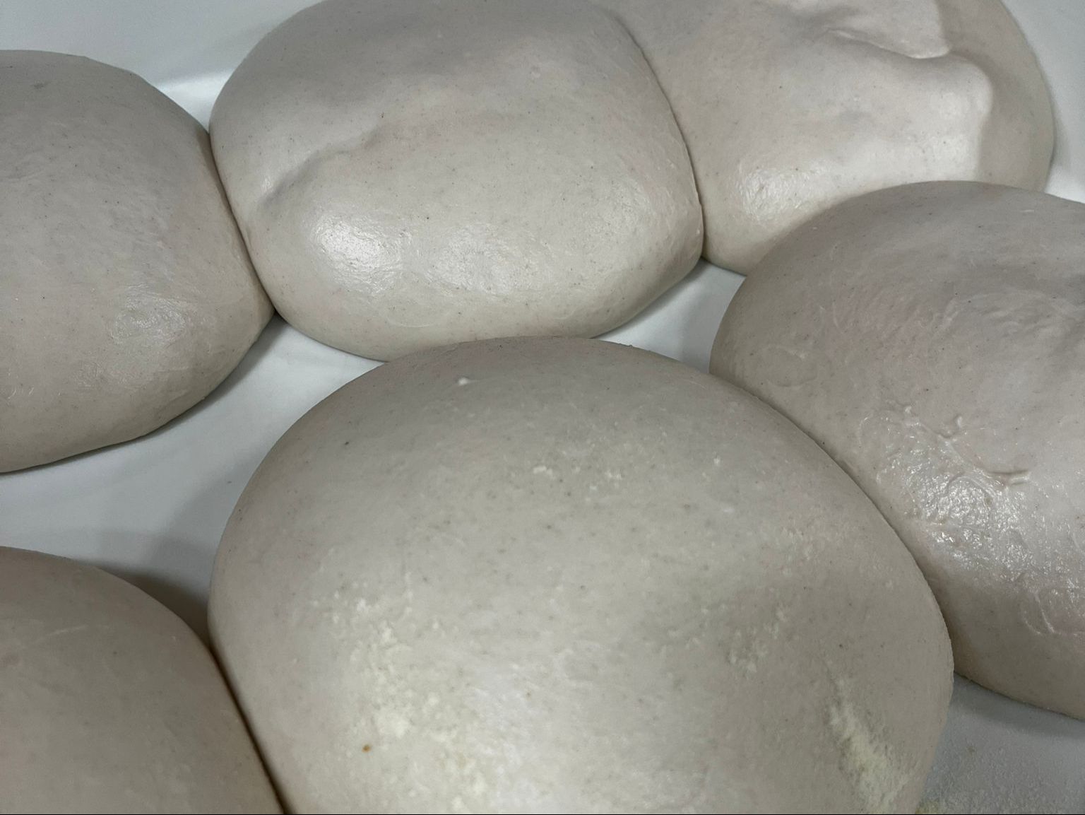 Fresh Dough.
