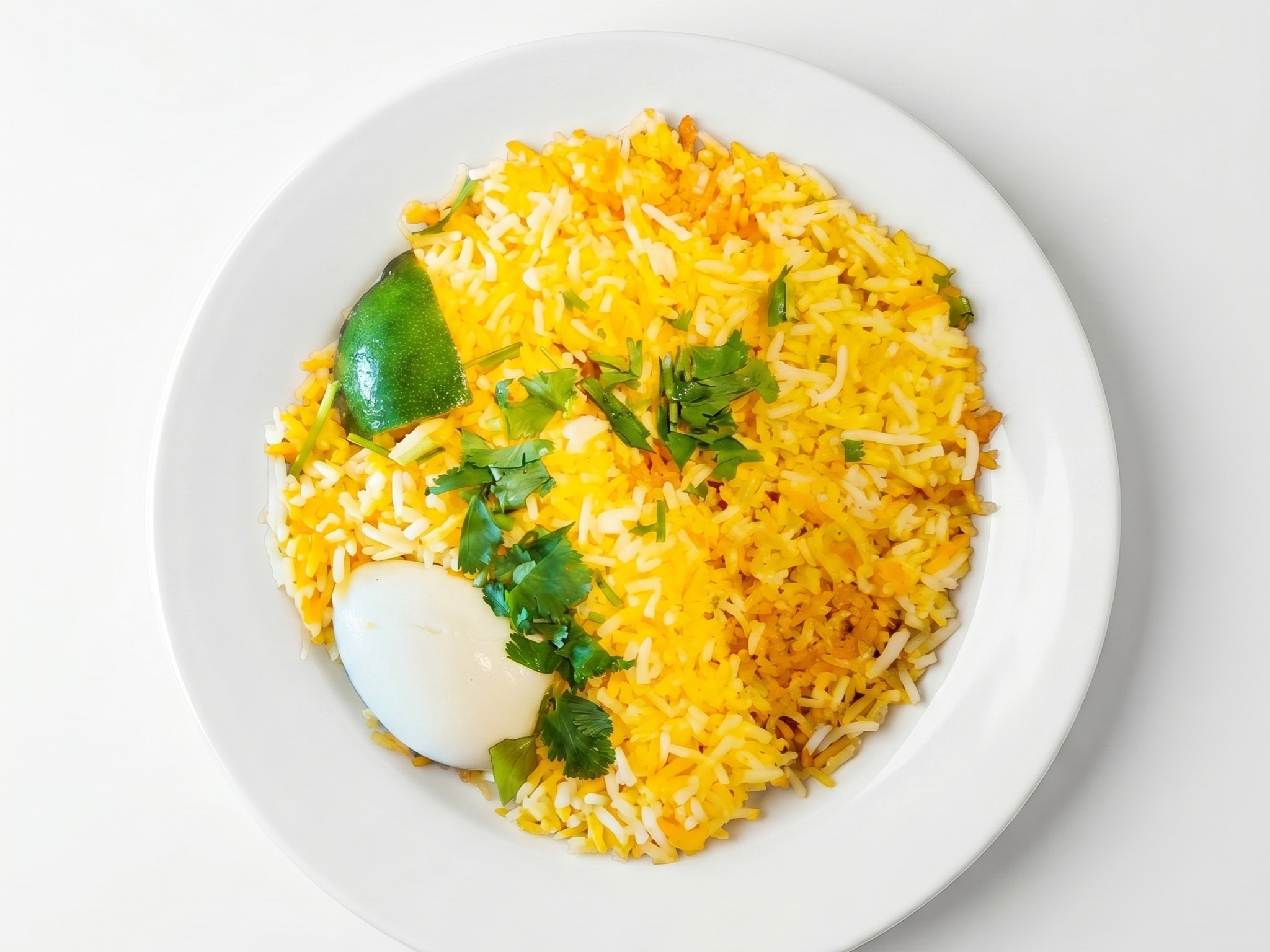 "Vaanga" Special Chicken Biryani (Boneless Chicken Biryani).
