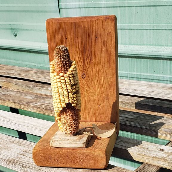 squirrel feeder
