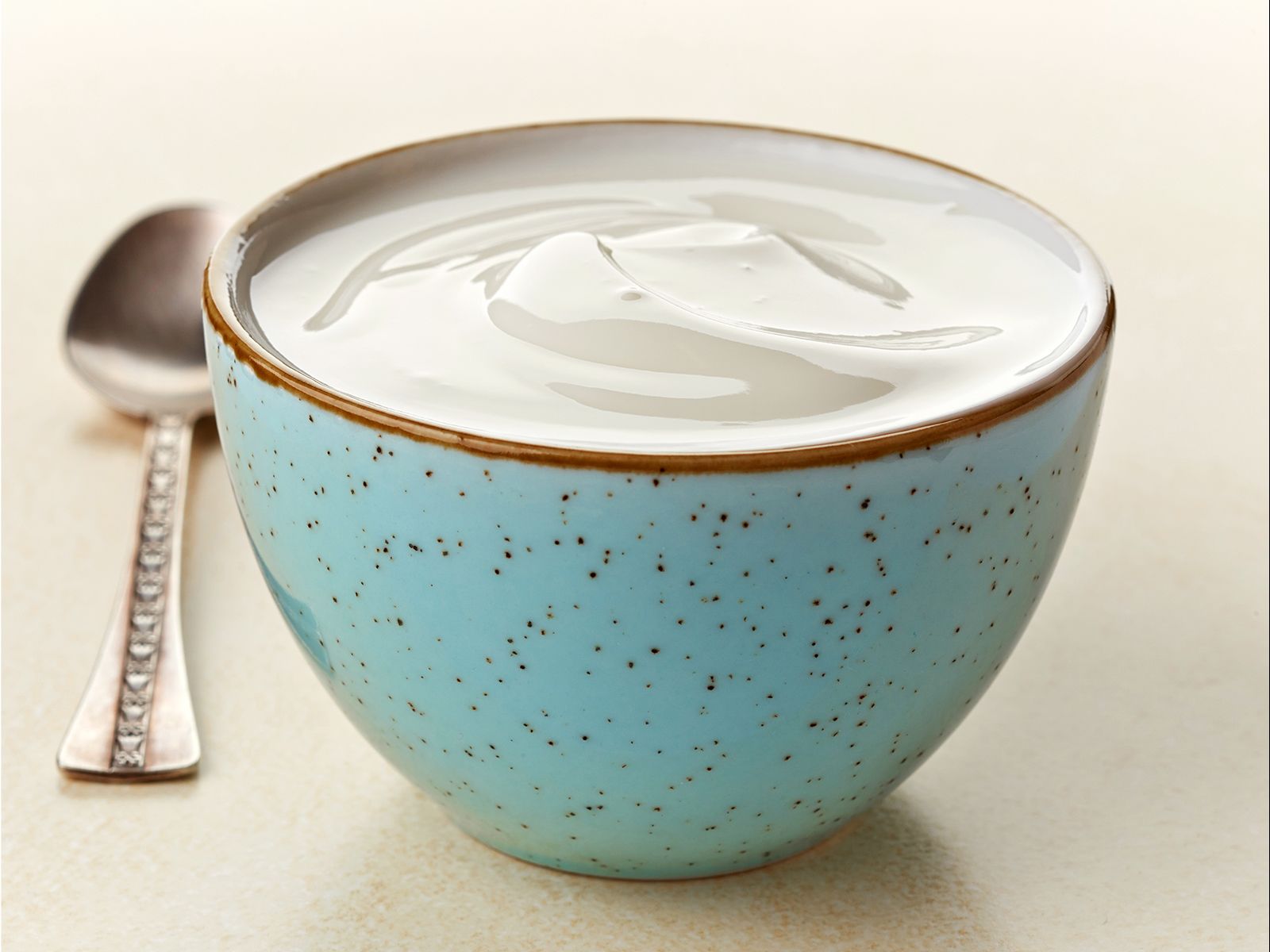 HOME MADE YOGURT 16 oz.