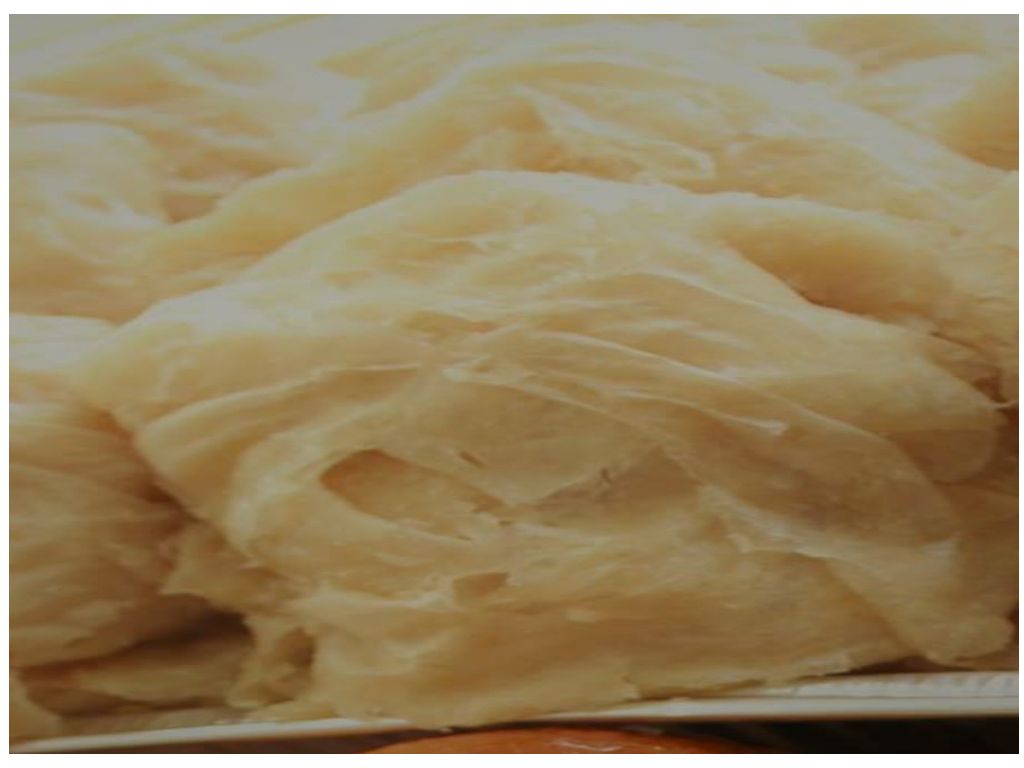 Roti Plain.