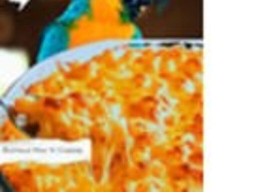 Blue Macaw – Buffalo Chkn Mac ’n Cheese.