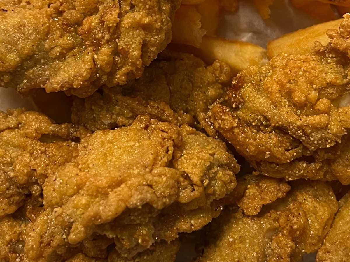 Fresh Oyster Delights: Seafood and Southern Cuisine