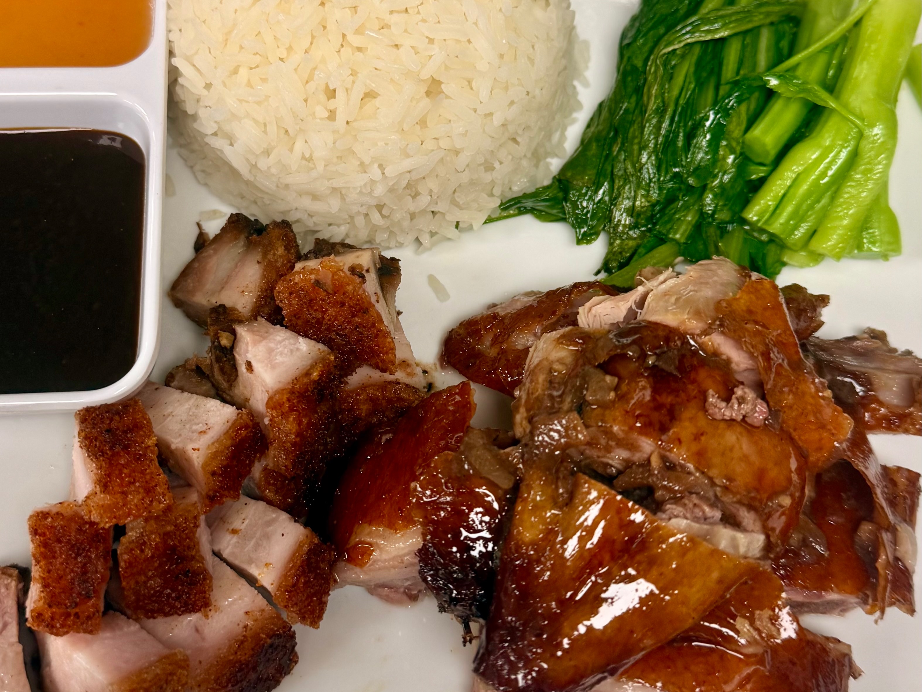17B. BBQ Rice Plate Double 双拼饭