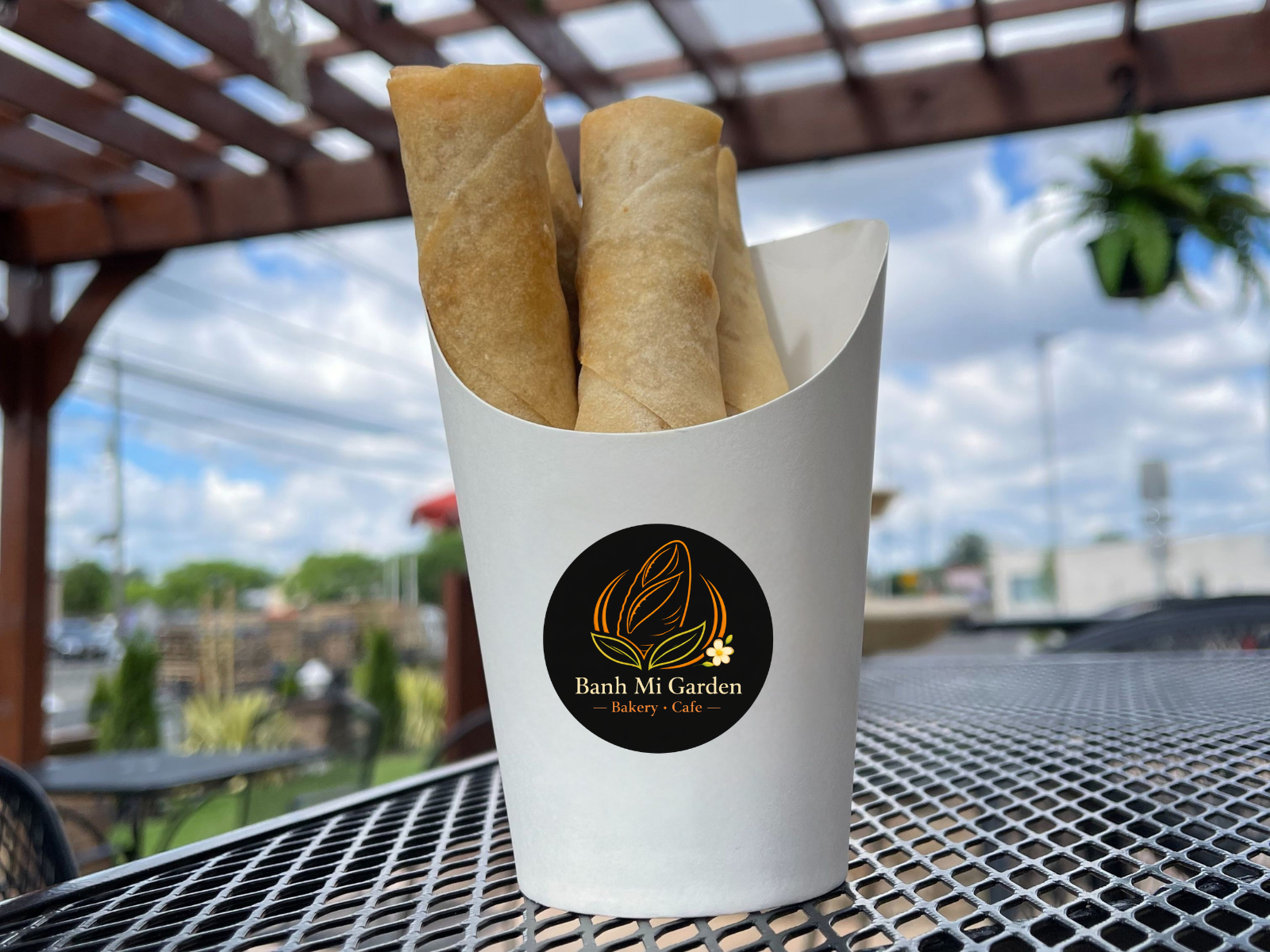 Savor Our Cha Gio
