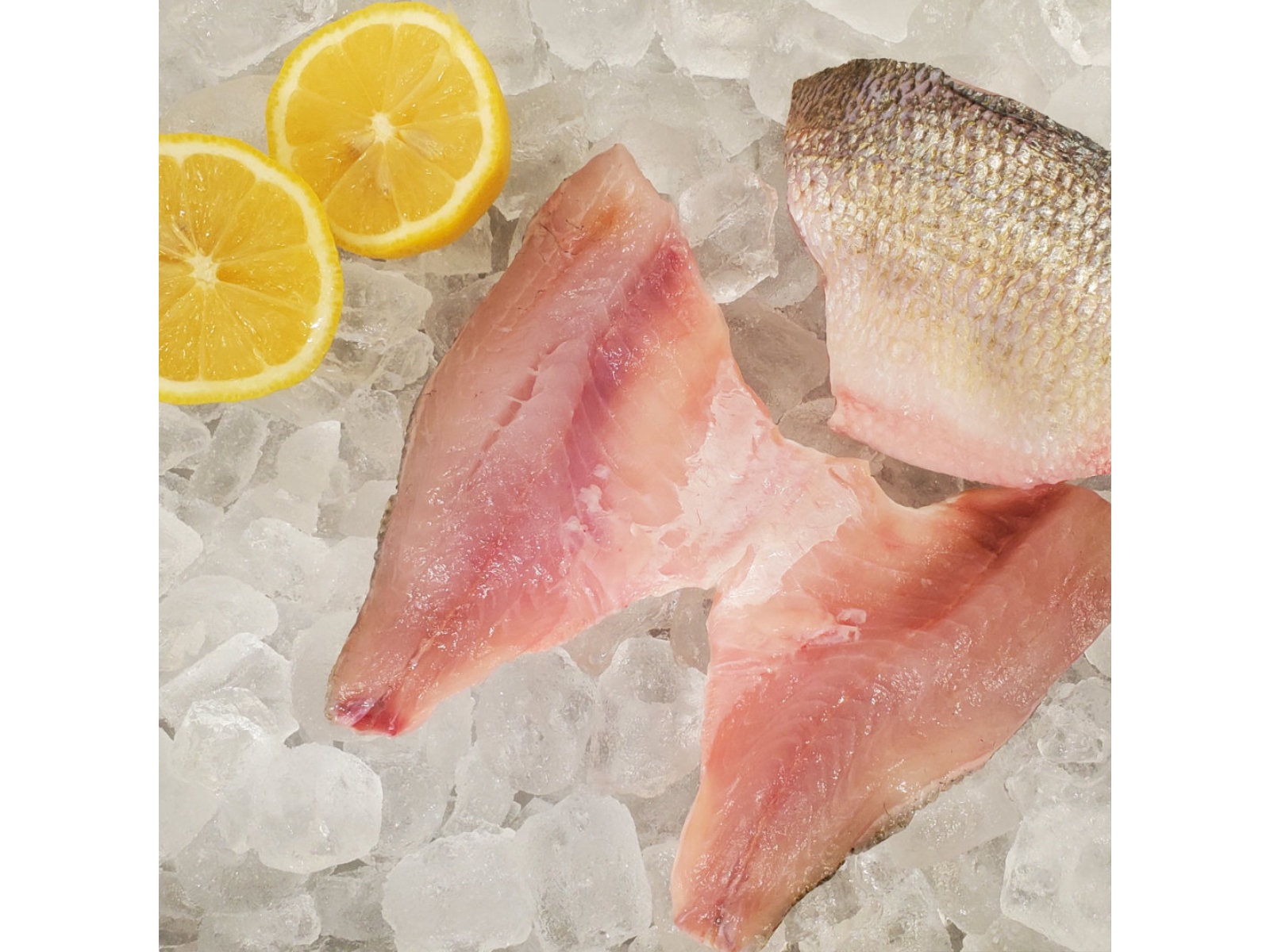 Out of the Blue // Seafood Market // Bayfield, Ontario // Fresh White Perch