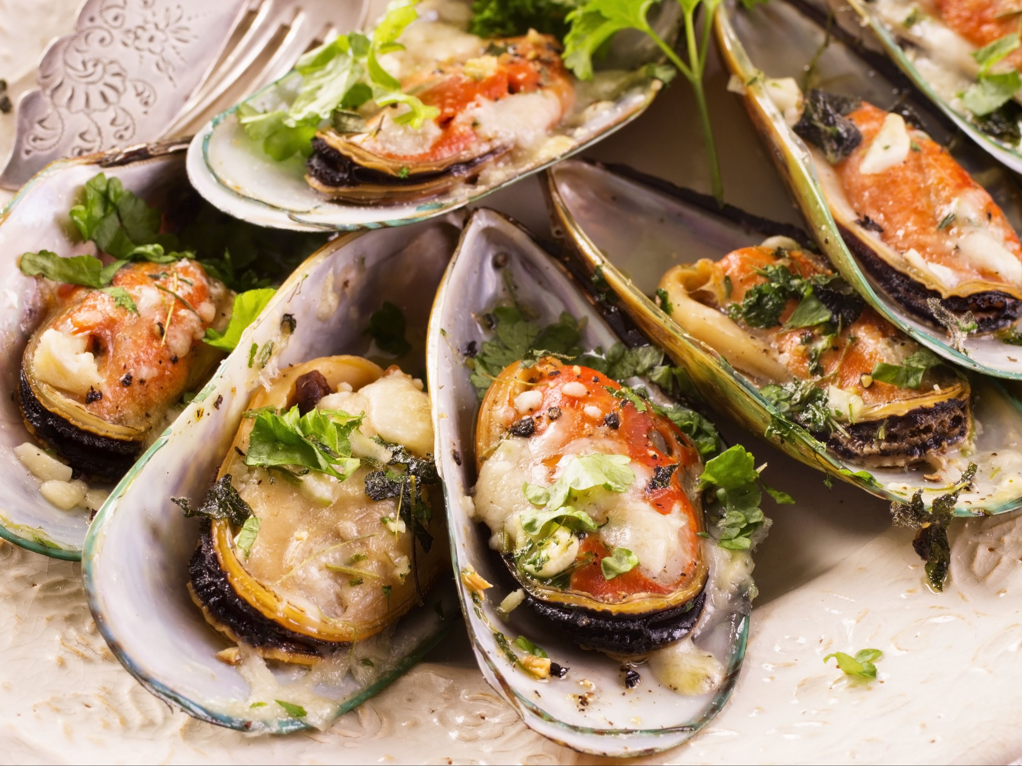 New Zealand Green Shell Mussels.