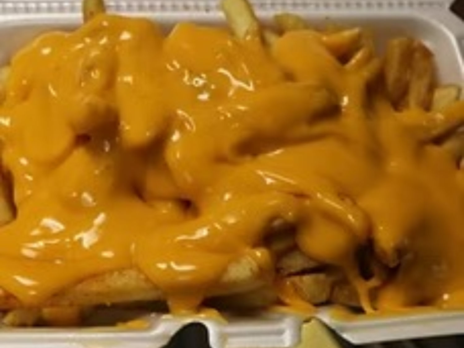 Image-Chesse Fries