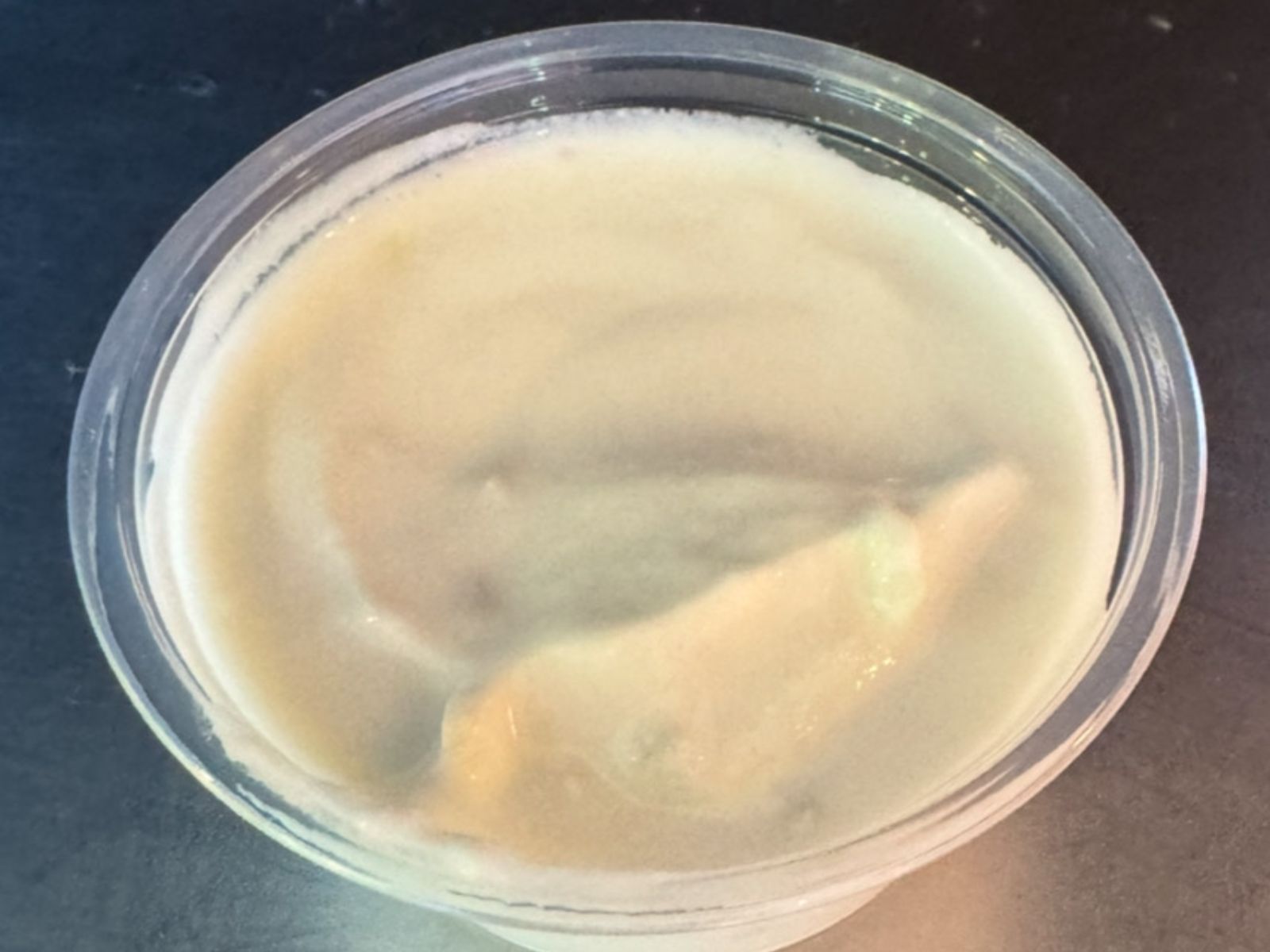 Tzatziki (Vegetarian).