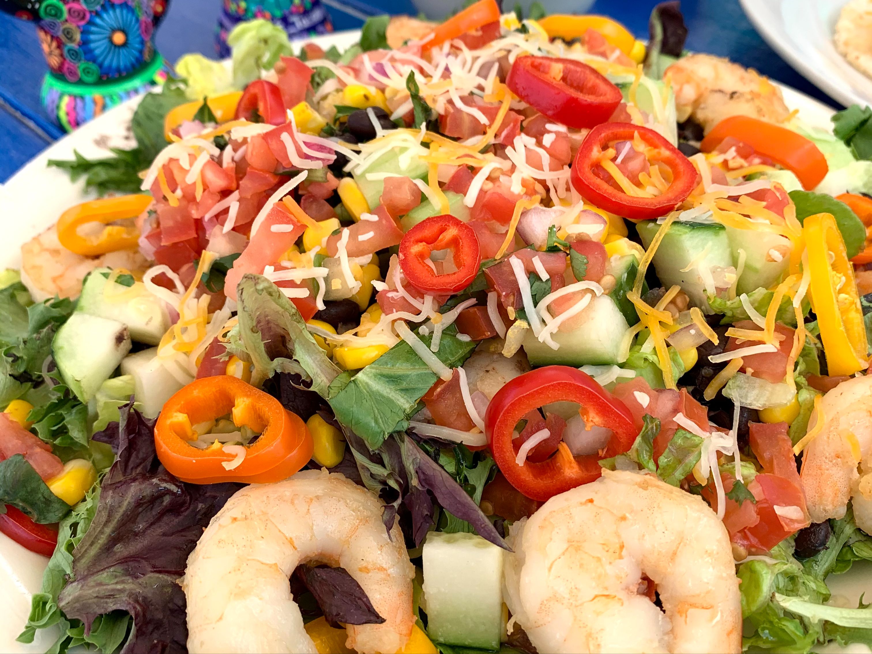 Full Salad w/ Protein (Ensalada Grande Con Proteina).