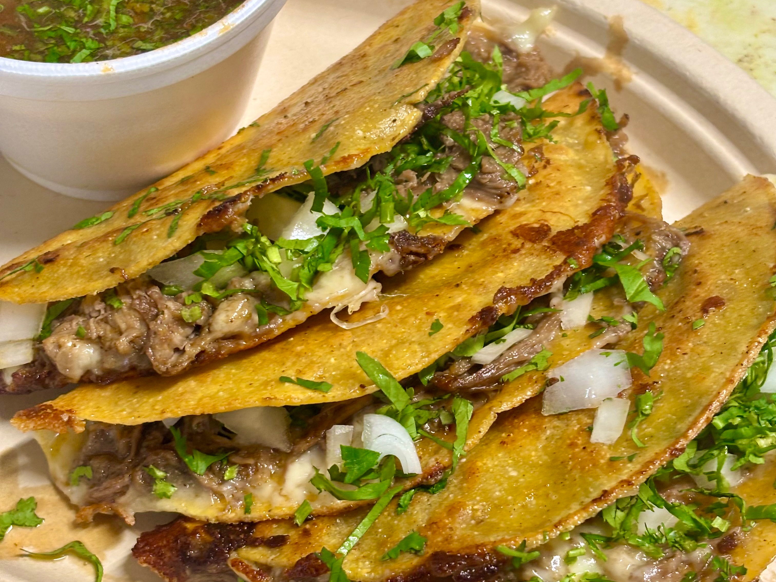 Quesa Birria Tacos (3)