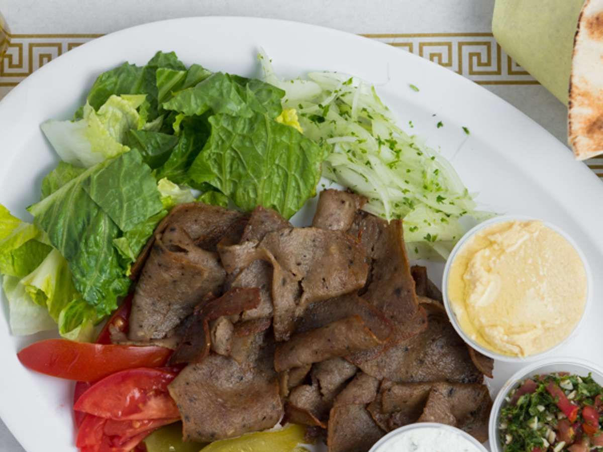 Gyro Plate.