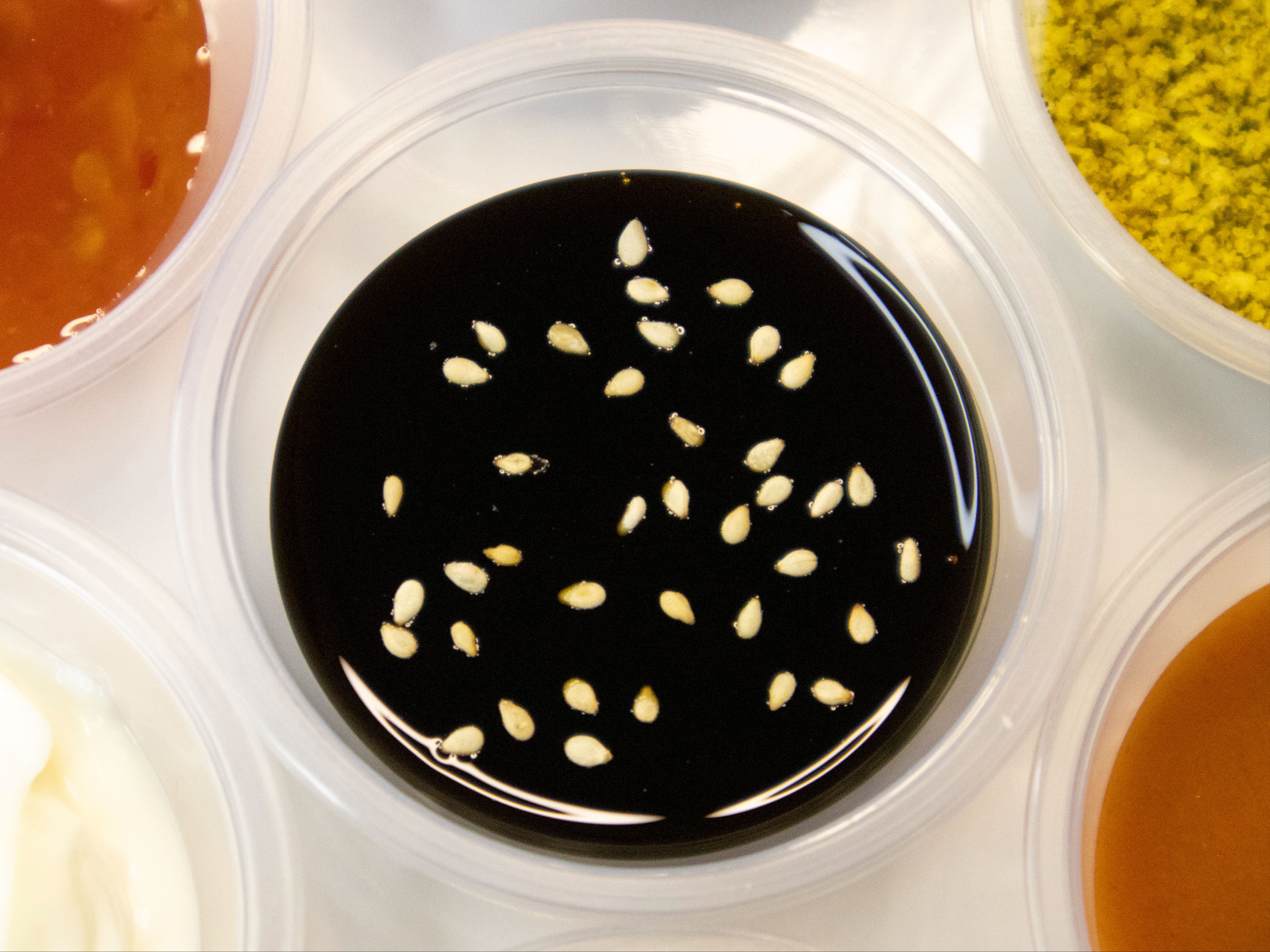 Teriyaki Sauce (4 oz).