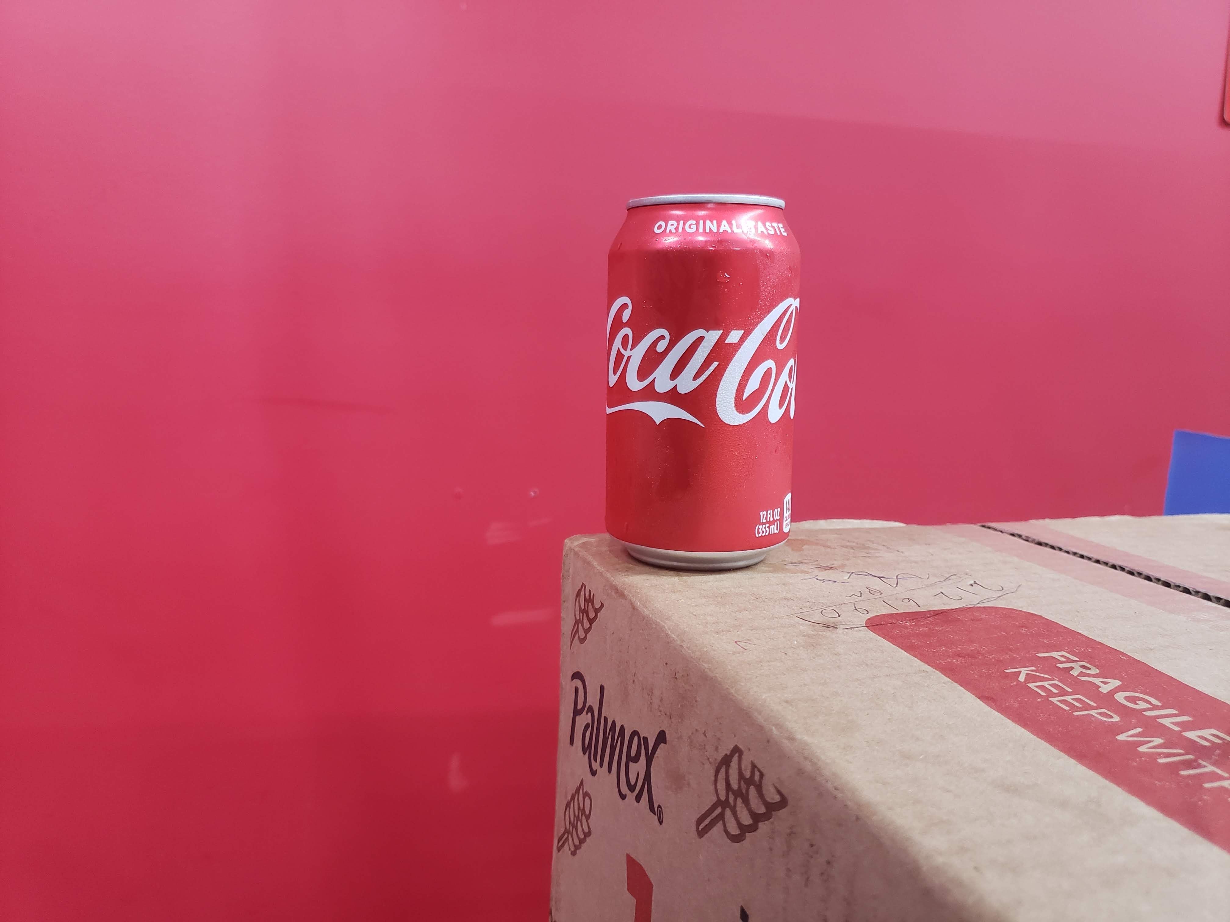 Coca Cola (12 oz) CAN.