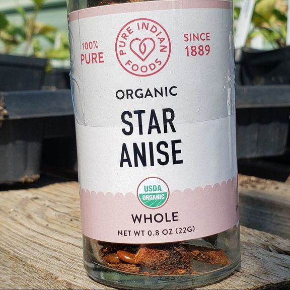 Star Anise Organic Whole