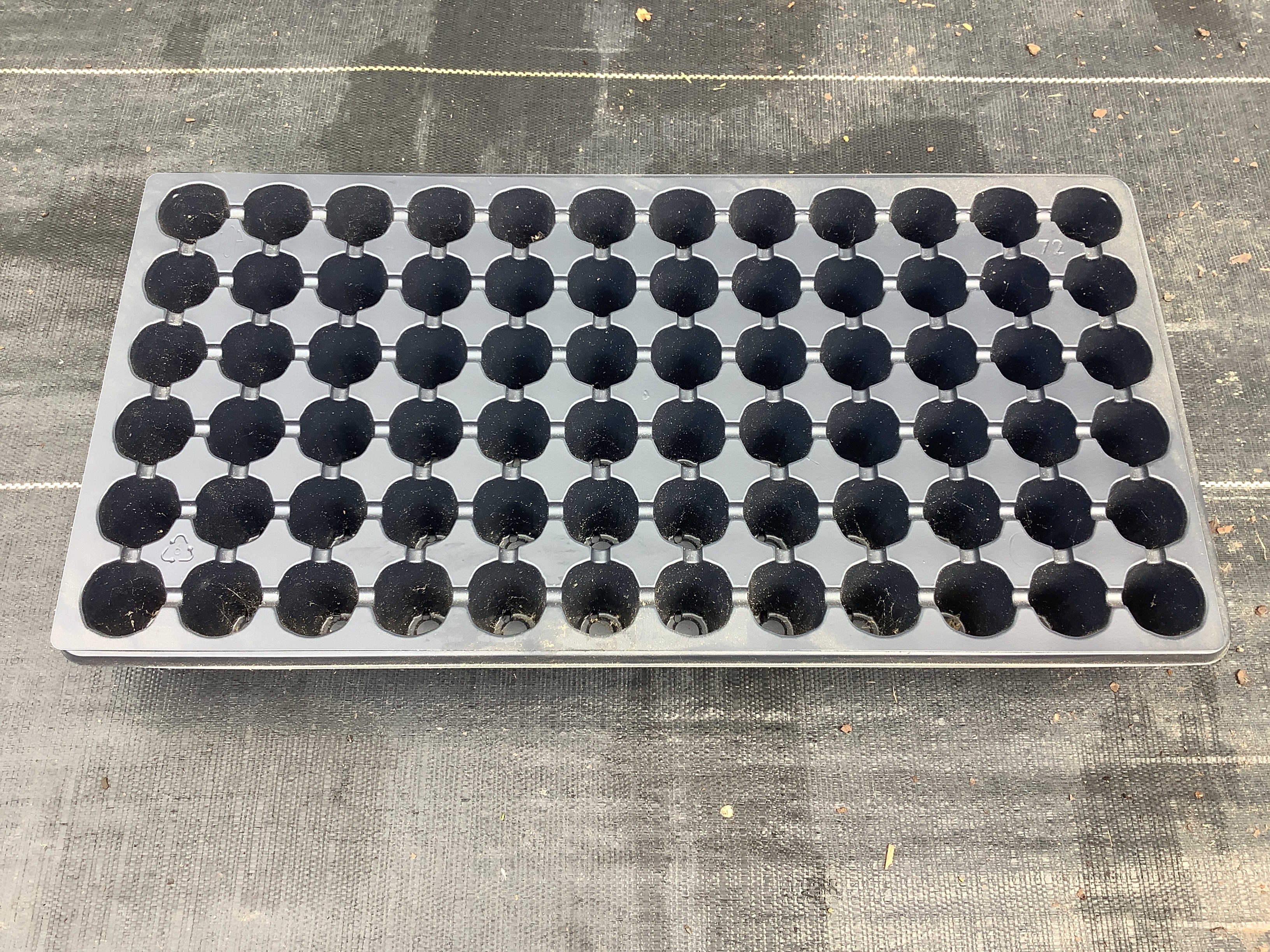 Seed Starter Tray (72 Cell)