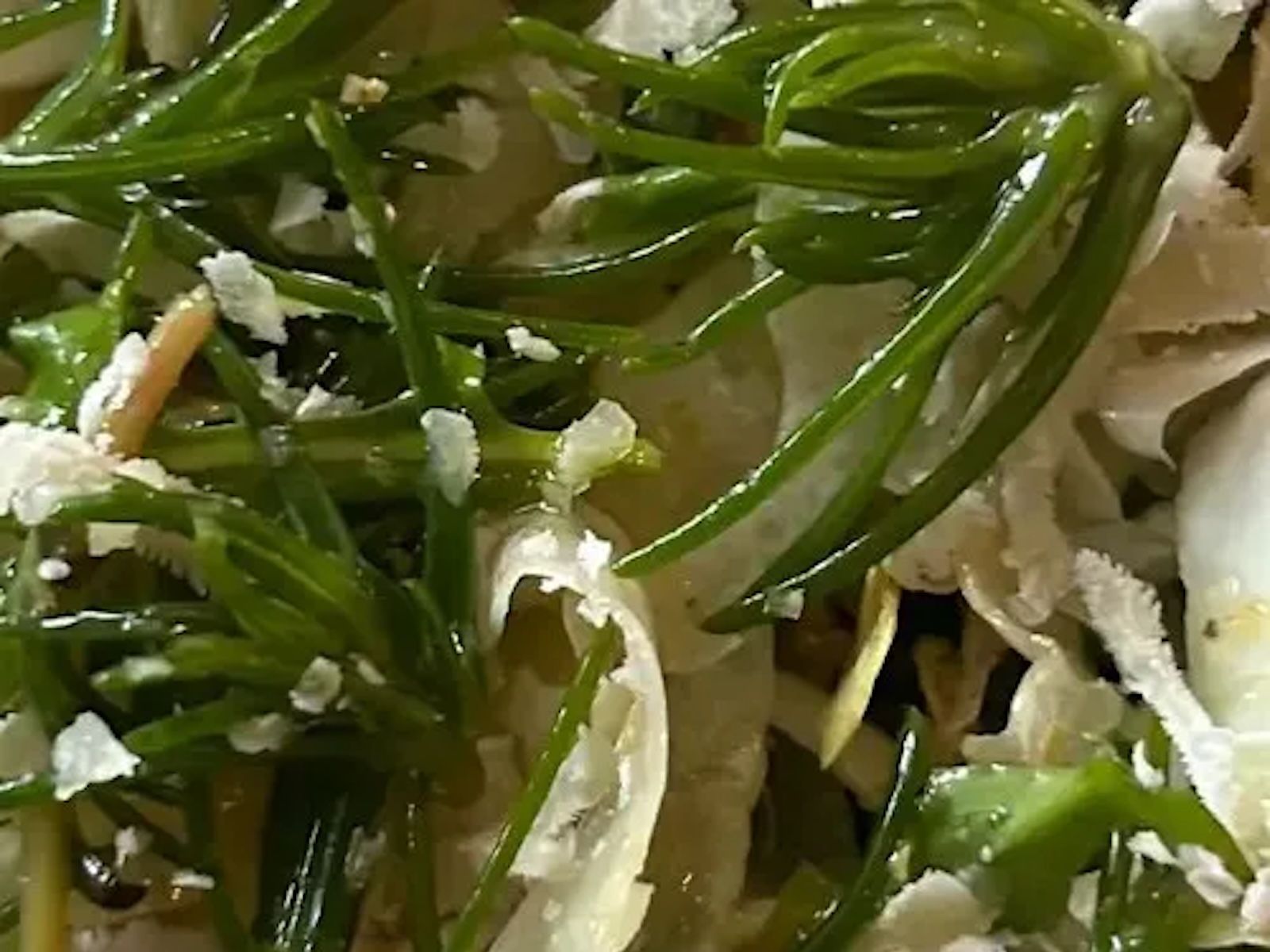 La Siciliana.
