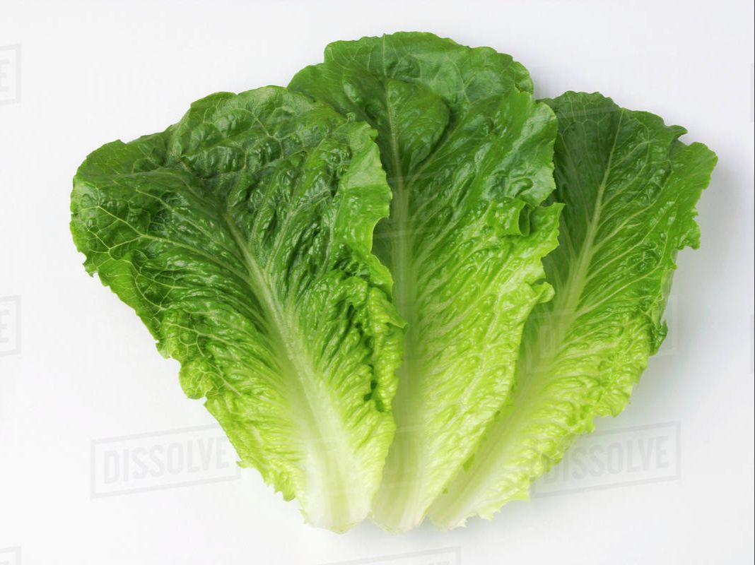 Add - Romaine Lettuce.