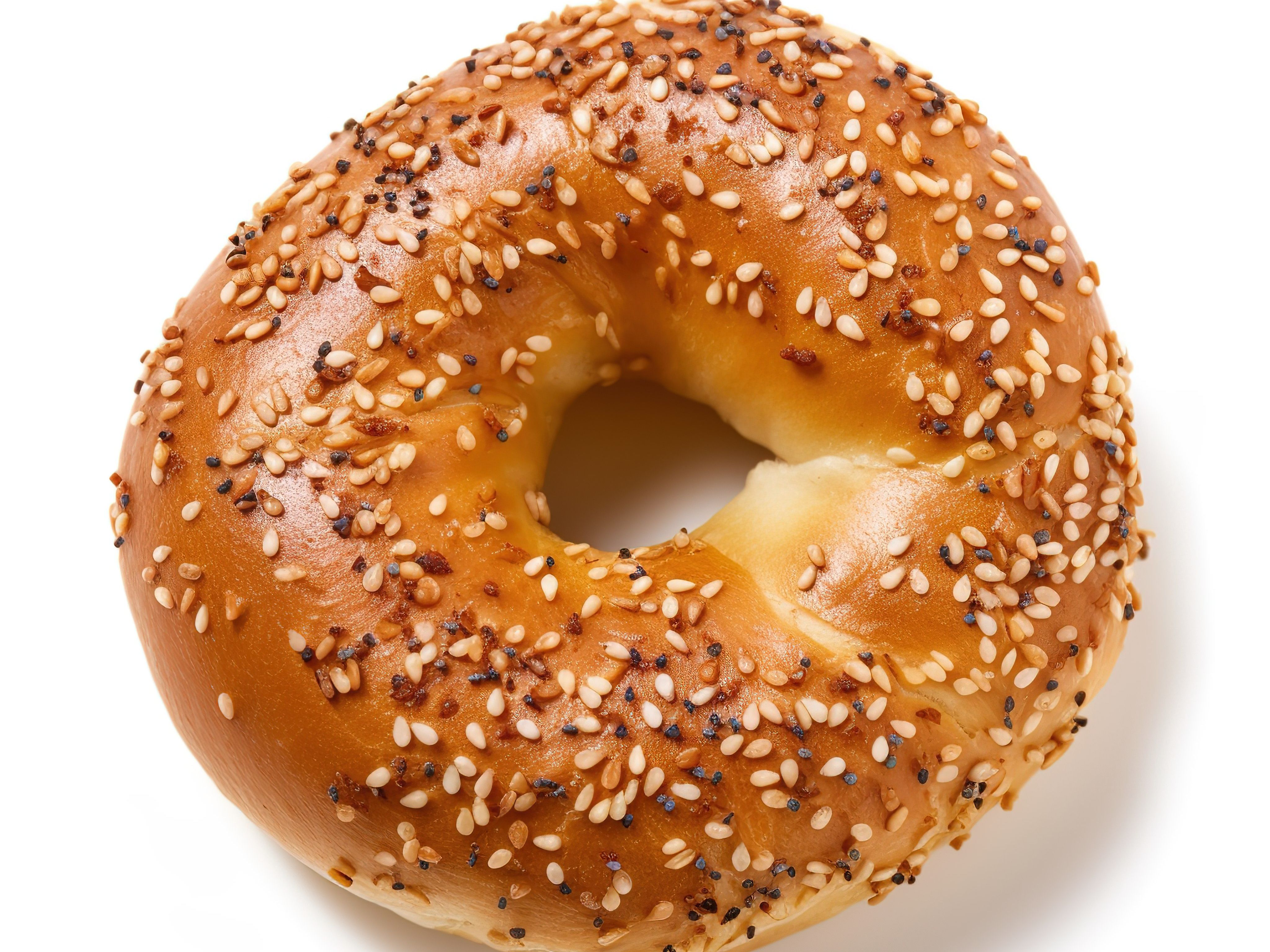 Plain Bagel