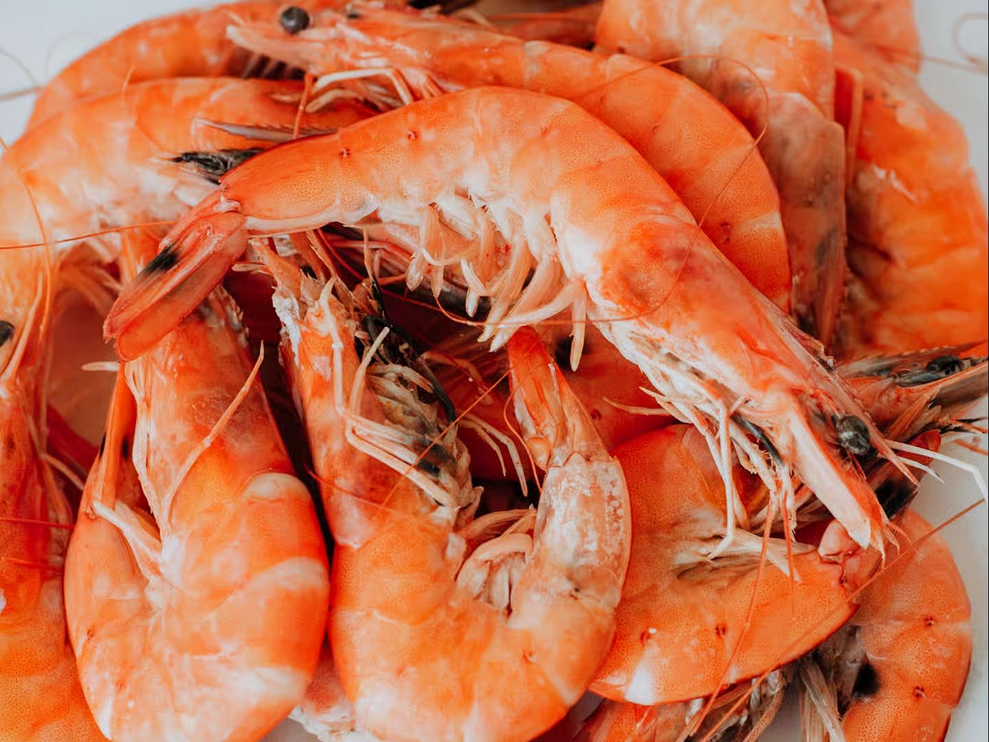 1/2 LB SHRIMP W/ HEAD