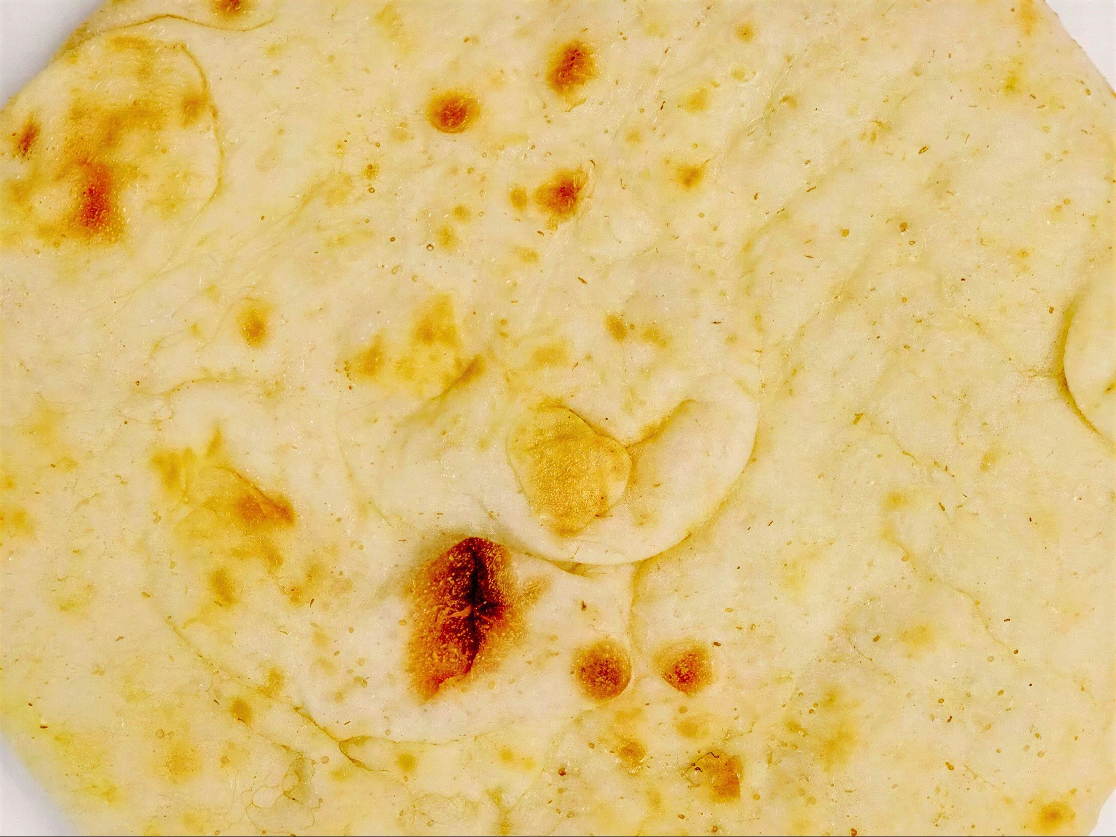 Whole Pita.