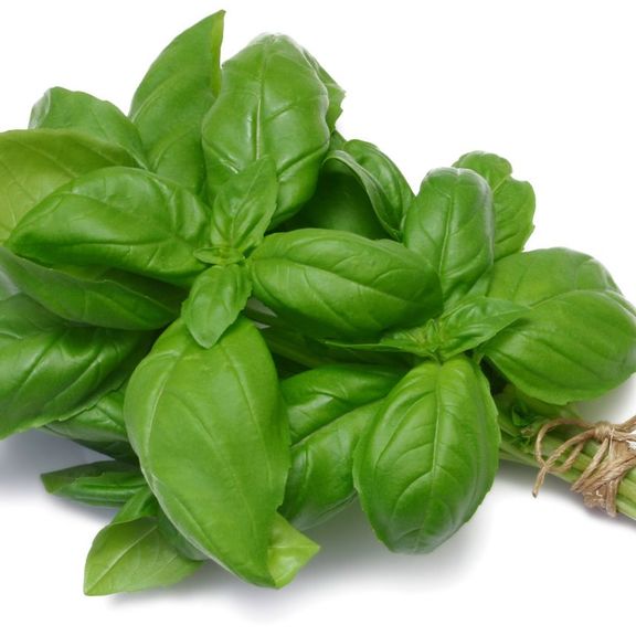 Herbs, big bundles