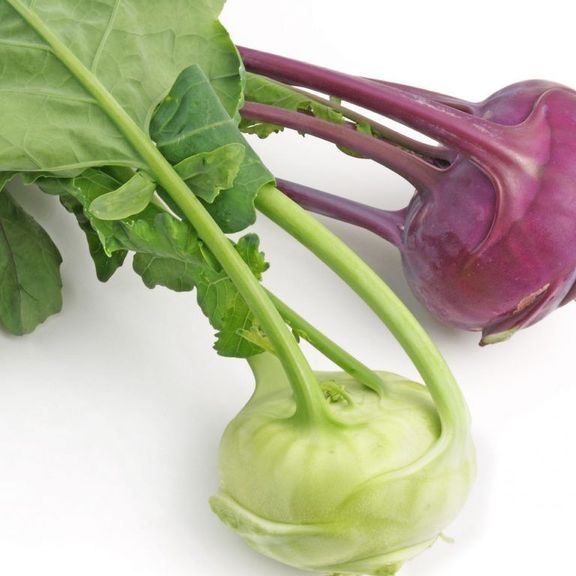 Kohlrabi