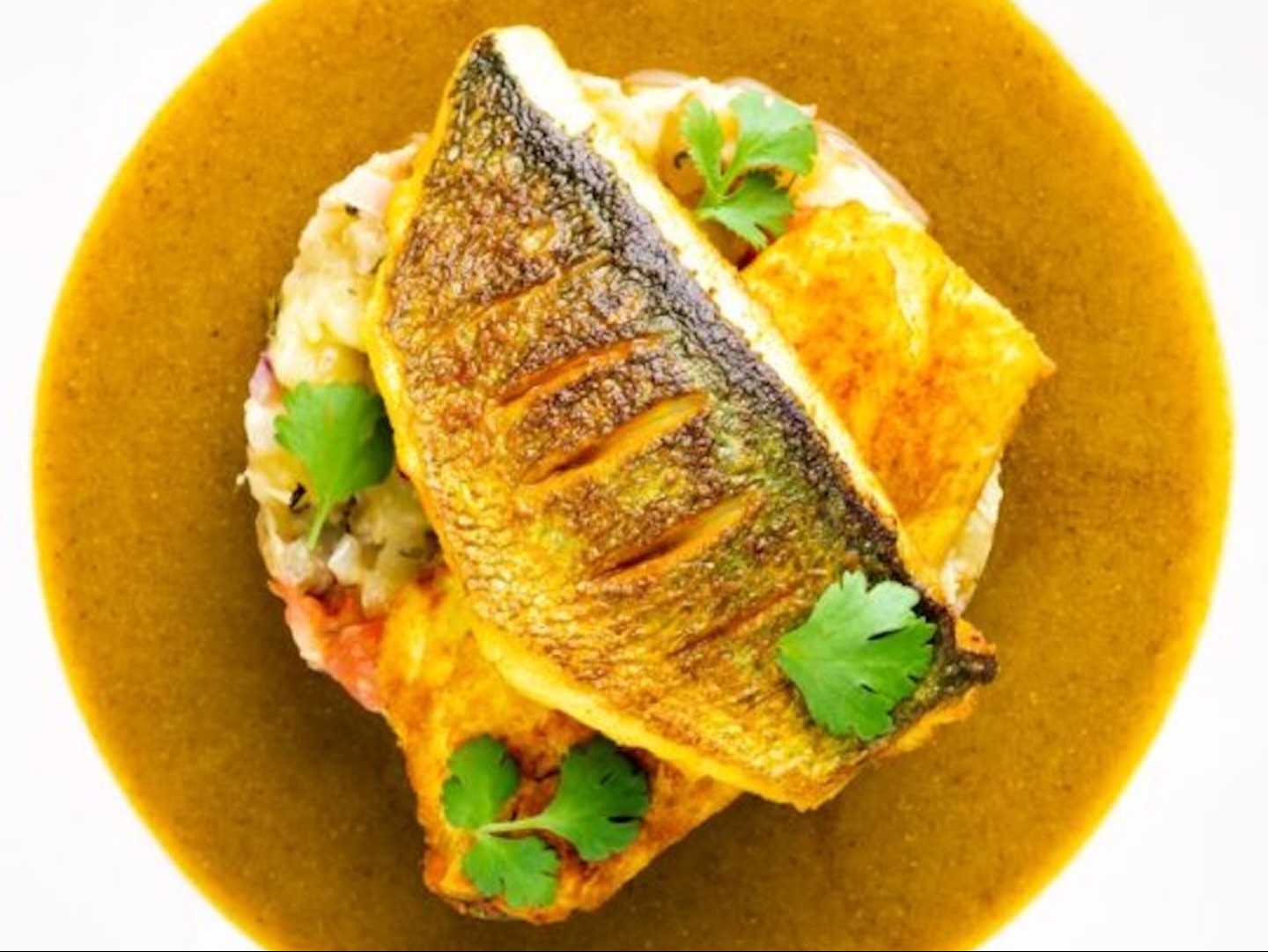 SEA BASS MALABAR CURRY.